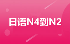 N4N2