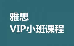 ˼VIPСγ