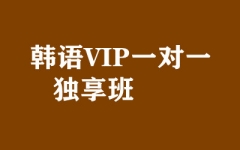 韩语VIP一对一独享班