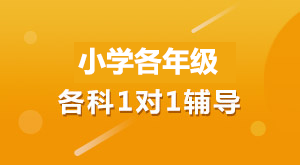 ����ȫ�꼯ѵӪ