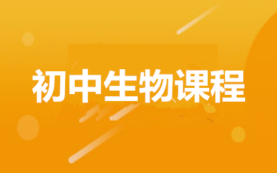 ����ȫ�꼯ѵӪ