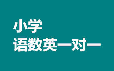 ����ȫ�꼯ѵӪ