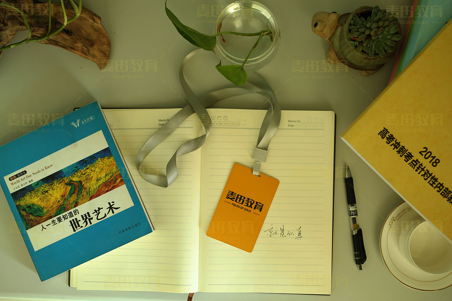 ����ȫ�꼯ѵӪ