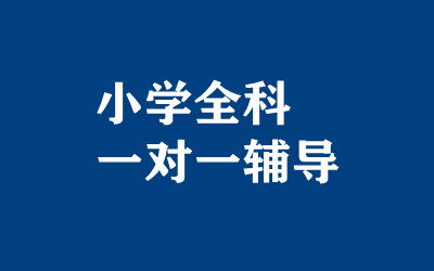 ����ȫ�꼯ѵӪ