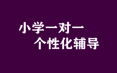 ����ȫ�꼯ѵӪ