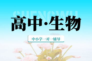 ����ȫ�꼯ѵӪ